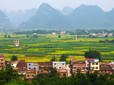 建设宜居宜业和美乡村（全面推进乡村振兴）(图1)