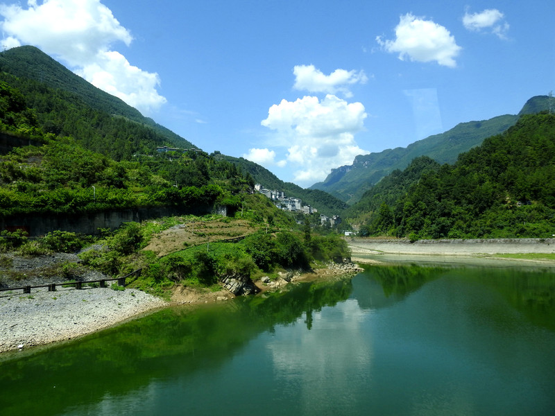 天博体育下载地址滇池草海湿地绘就绿水青山生态画卷(图1)