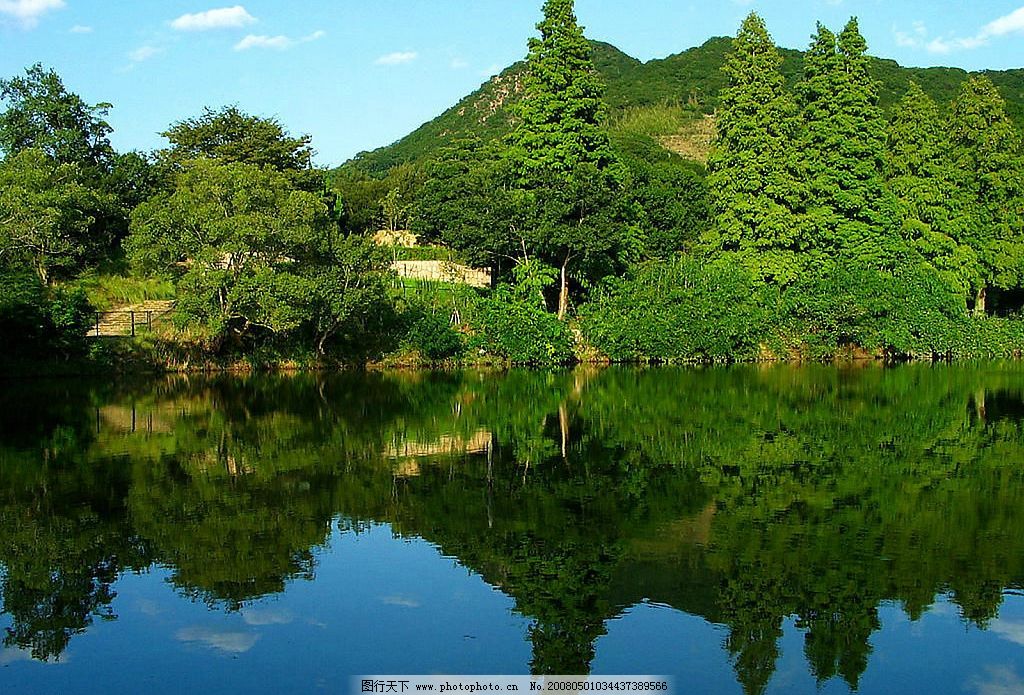 与高山植物同行（绿水青山守护者）(图1)