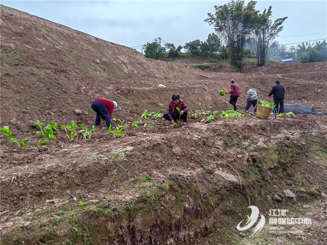 牢牢守住耕地保护红线(图1)