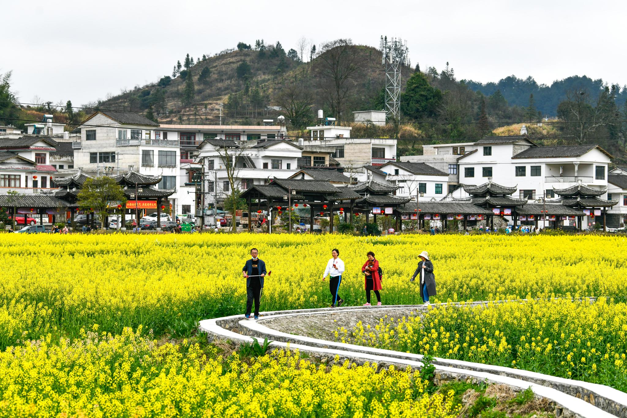 天博tb官网链接全面推进乡村振兴（新征程·高质量发展谱新篇）(图1)