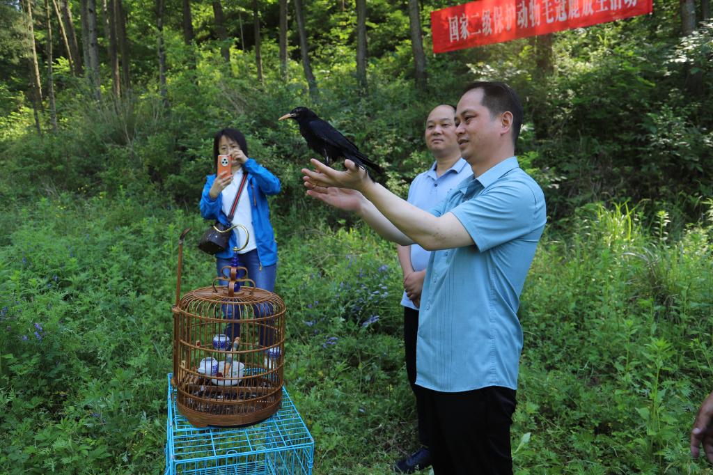 天博·综合体育官方app下载安装第11个“世界野生动植物日” 保护野生动植物维护生态安全！(图1)